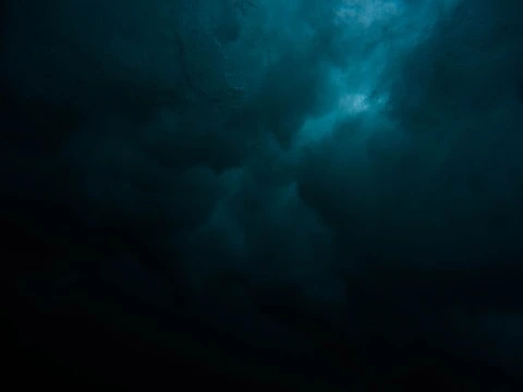 Ocean